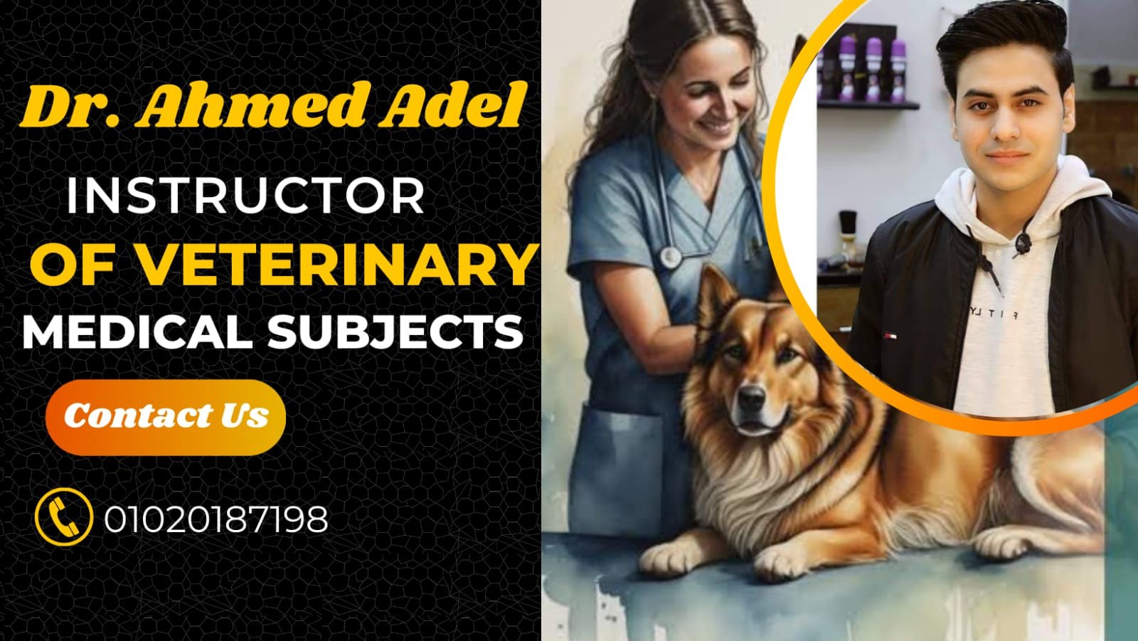 Veterinary Medical Terminology